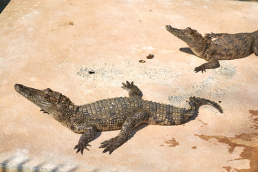 Similar image 10774404