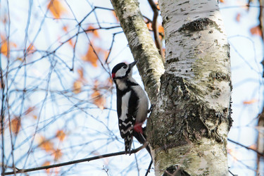 Similar image 10785421