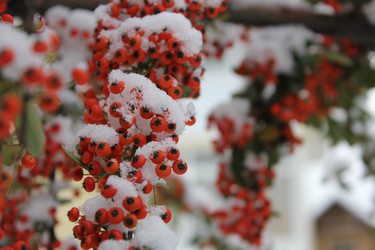 Similar image 10788852