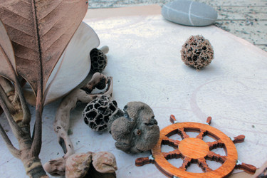 Similar image 10788858