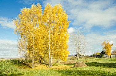 Similar image 10789237