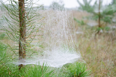 Similar image 10789249