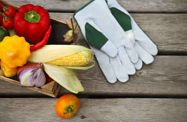 Similar image 10789281