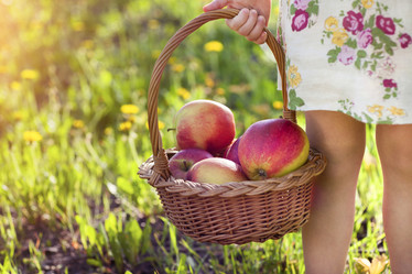 Similar image 10789283