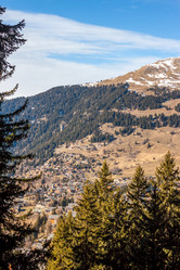 Similar image 10790554