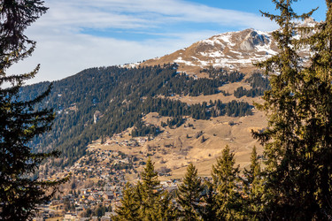 Similar image 10790555