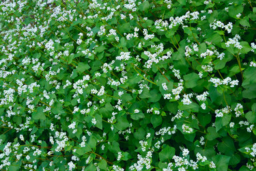 Similar image 10790580