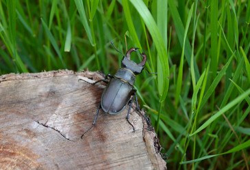 Similar image 10791182