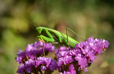 Similar image 10791365