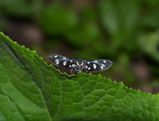 Similar image 10791629