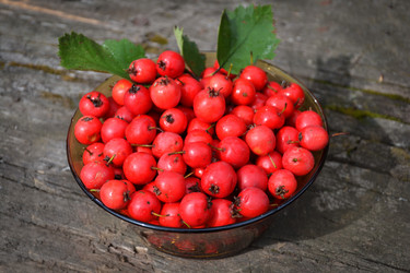 Similar image 10791631