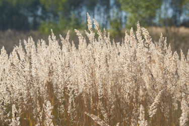 Similar image 10791635