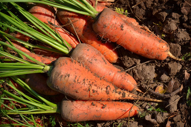 Similar image 10791662