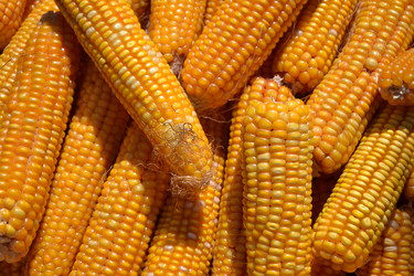 Similar image 10791663