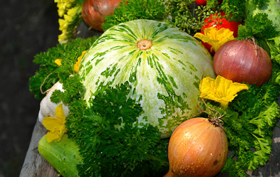 Similar image 10791676