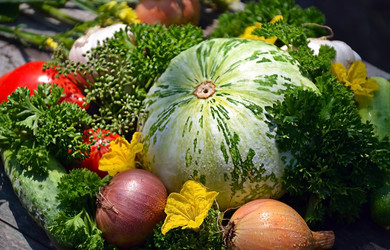 Similar image 10791678