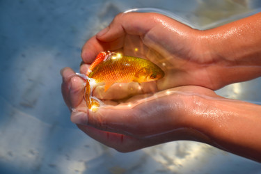 Similar image 10791680