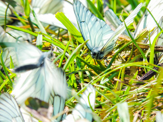 Similar image 10791991