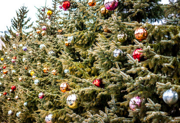 Similar image 10792082