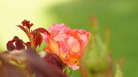 Similar image 10792100