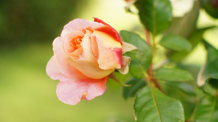 Similar image 10792102