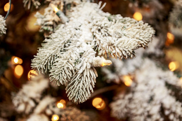 Similar image 10792417