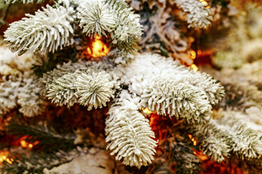 Similar image 10792420