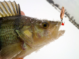 Similar image 10792711