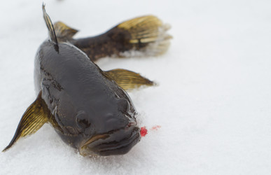 Similar image 10792713