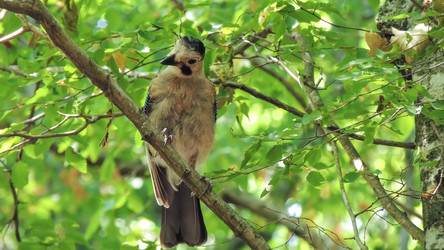 Similar image 10792724