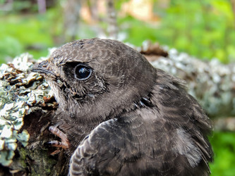 Similar image 10792726