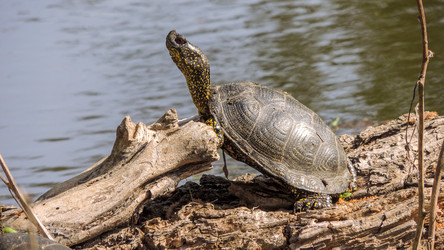 Similar image 10792729