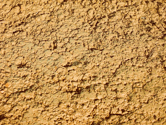 Similar image 10792852