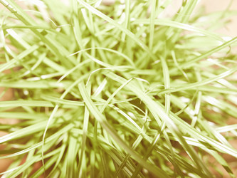 Similar image 10792984