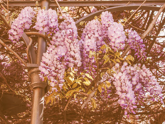 Similar image 10792991