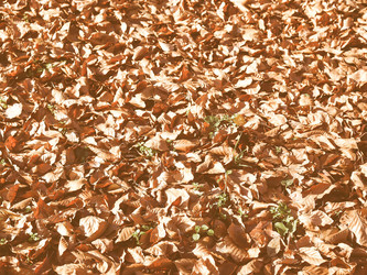 Similar image 10793386