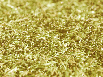 Similar image 10793451