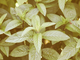 Similar image 10793759