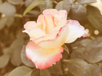 Similar image 10796360