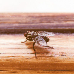 Similar image 10796697