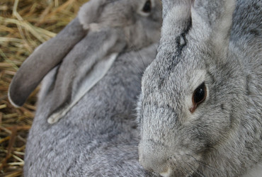 Similar image 10811537