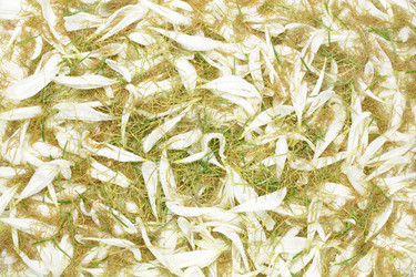 Similar image 10811613