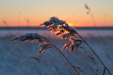 Similar image 10811692