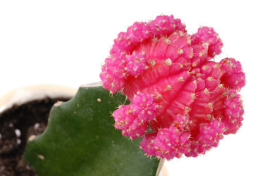 Similar image 10811814