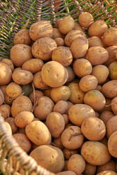 Similar image 10812034