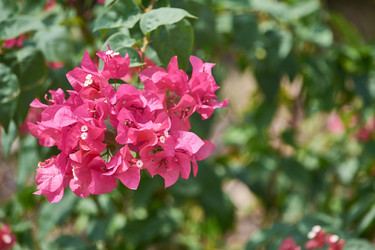 Similar image 10812038