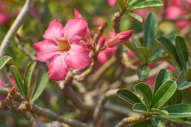 Similar image 10812041