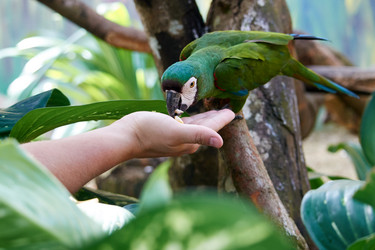 Similar image 10812064