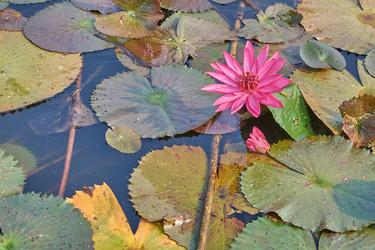 Similar image 10812071