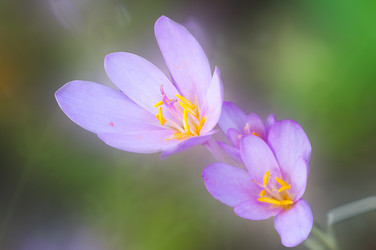 Similar image 10812098